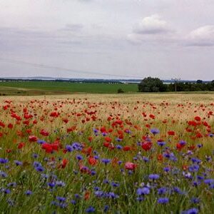 Landschaft