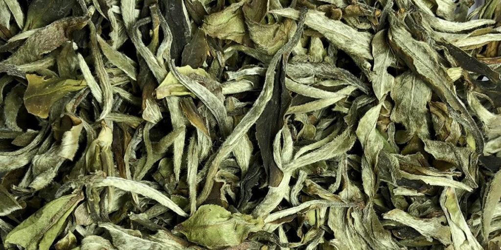White Jade Peony White Tea - Teeblätter Versand