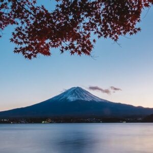 Bio Japan Gabalong Tee Teeblätter-Versand