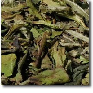 Biotee Pai Mu Tan 6901- Weißer Tee - Teeblätter Versand