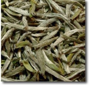 China White Brow - Teeblätter Versand