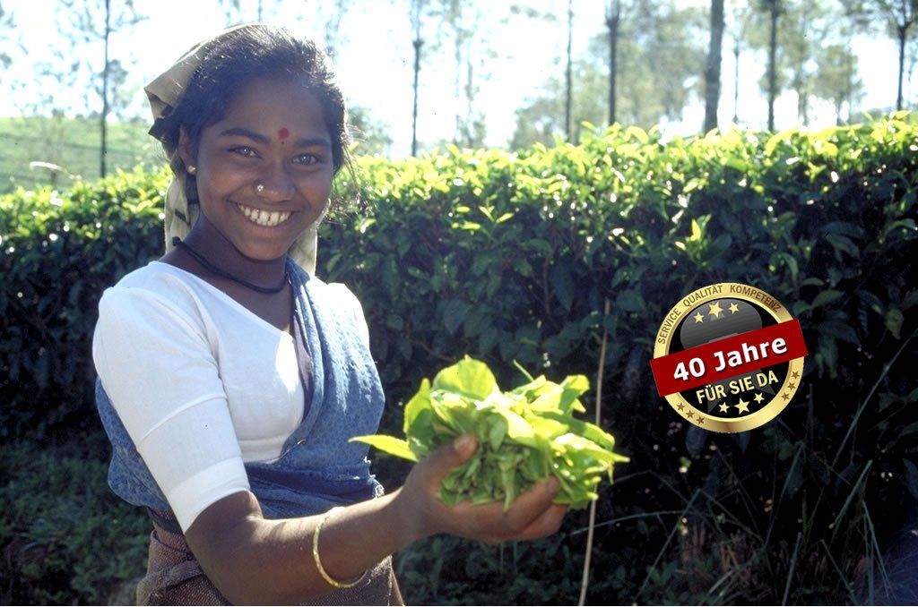 Sri Lanka Pflückerin Happy Tea Sri Lanka Pflückerin Happy Tea - Teeblätter Versand