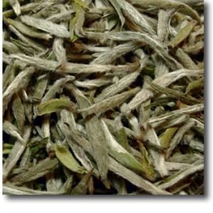 White Brow Fujian Silver Needle - Teeblätter-Versand